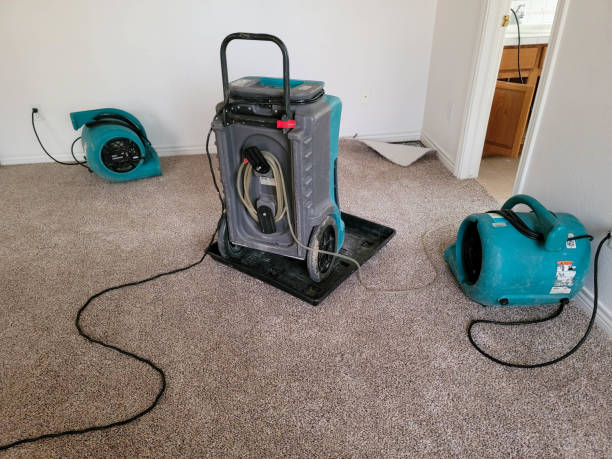  Fircrest, WA Water damage restoration Pros