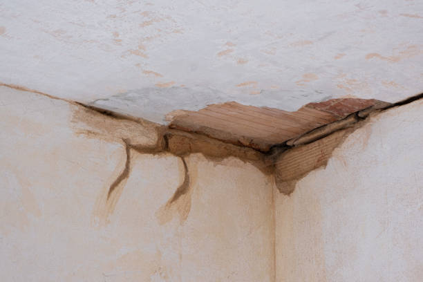 Best 24/7 water damage repair  in Fircrest, WA