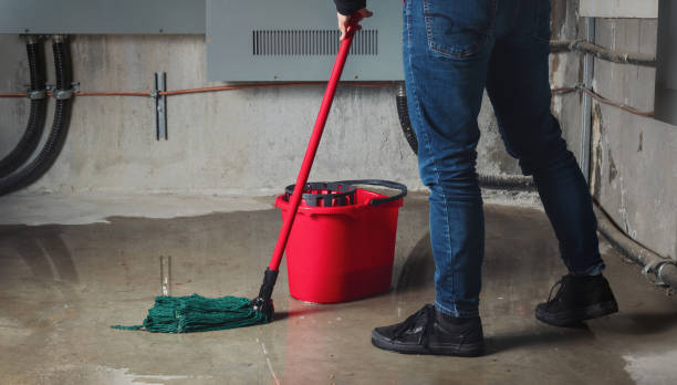Best Water damage restoration near me  in Fircrest, WA
