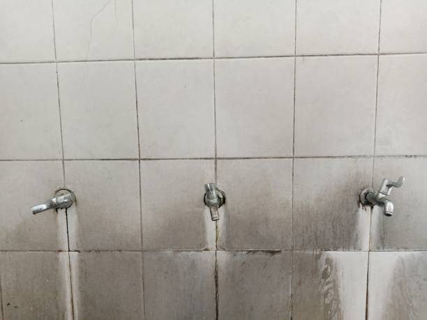 Best Ceiling water damage repair  in Fircrest, WA