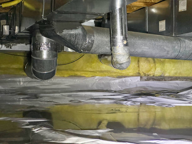 Best Basement water damage restoration  in Fircrest, WA